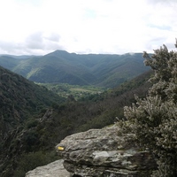 Photo de france - La randonnée du Mont Caroux